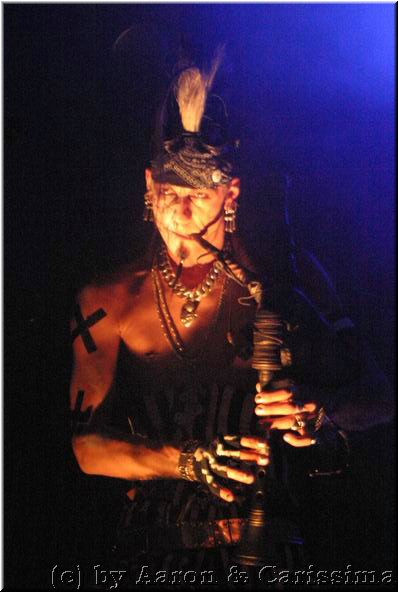 Tanzwut (283).JPG